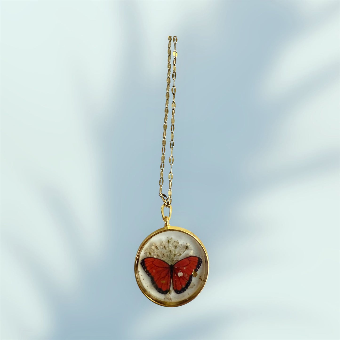 Wings of Passion / Battito di Passione