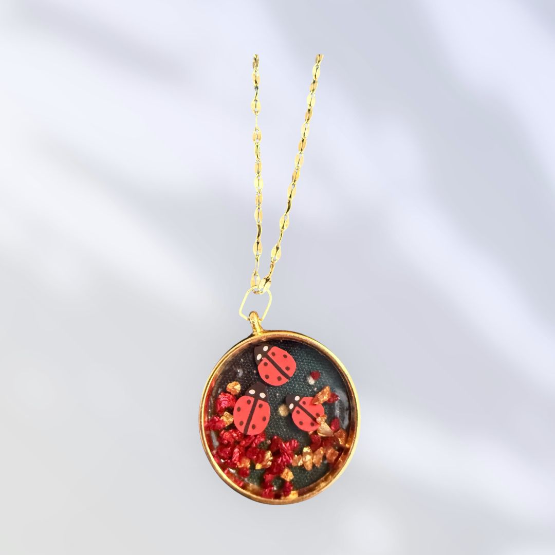Lucky Ladybug / Portafortuna Naturale