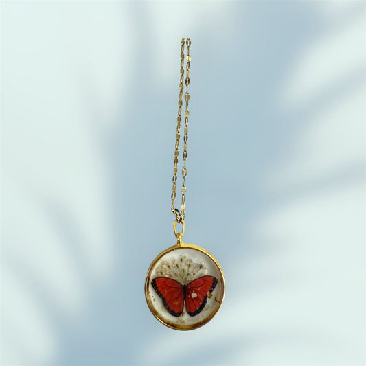 Wings of Passion / Battito di Passione