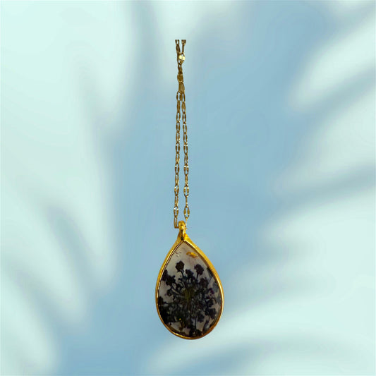 Nocturnal Grace / Eleganza Notturna